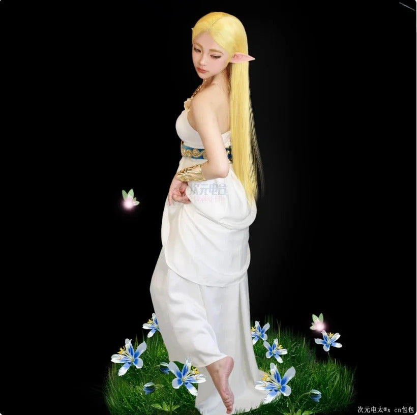 Game Zelda: Breath of the Wild Zelda Cosplay Costume Dress Belt Earrings Necklace Glove Set Halloween Party Sexy Women Uniform