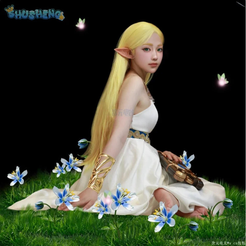 Game Zelda: Breath of the Wild Zelda Cosplay Costume Dress Belt Earrings Necklace Glove Set Halloween Party Sexy Women Uniform