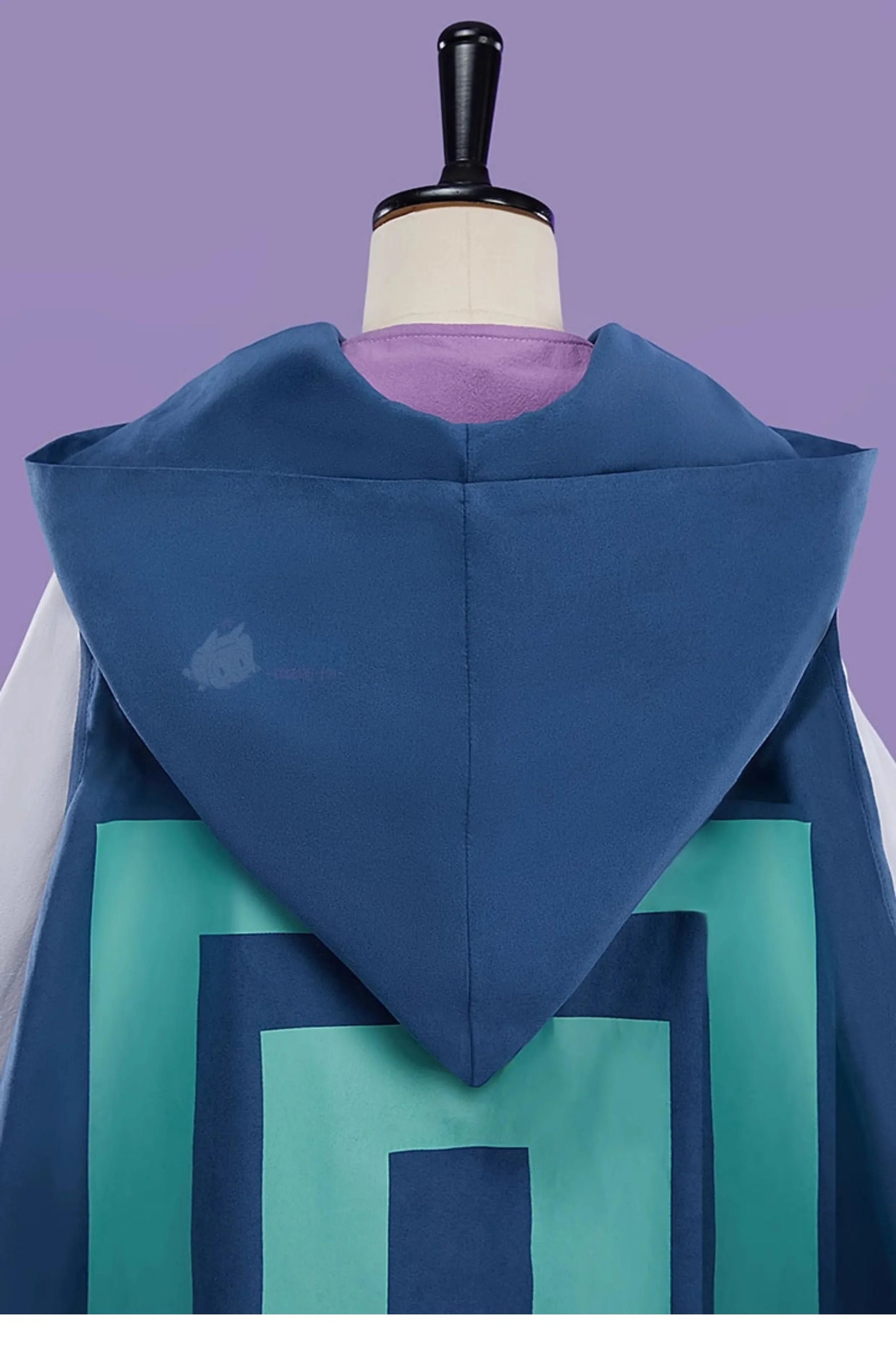 Shusheng-R Game Zelda Cosplay Princess Zelda Costume Coat, cloak, ear accessories, dress set Halloween party casual Woman Man uniform