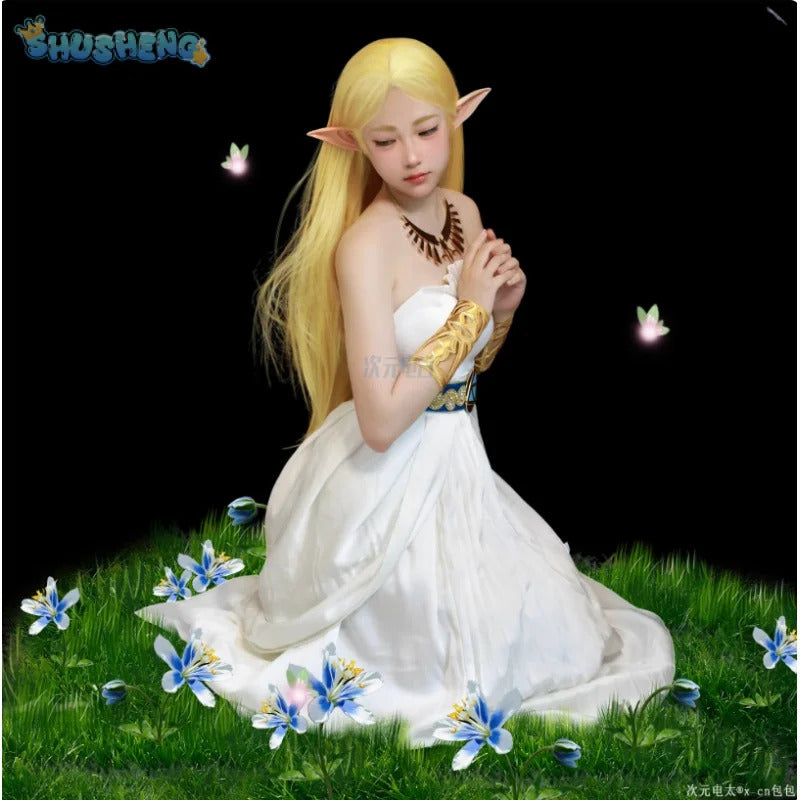 Game Zelda: Breath of the Wild Zelda Cosplay Costume Dress Belt Earrings Necklace Glove Set Halloween Party Sexy Women Uniform