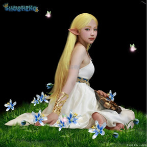 Game Zelda: Breath of the Wild Zelda Cosplay Costume Dress Belt Earrings Necklace Glove Set Halloween Party Sexy Women Uniform