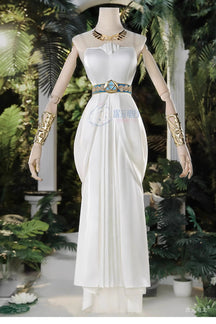 Game Zelda: Breath of the Wild Zelda Cosplay Costume Dress Belt Earrings Necklace Glove Set Halloween Party Sexy Women Uniform