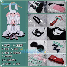 Zenless Zone Zero Clothing Jumpsuits Cosplay Costume Cos Game Anime Party Uniform Hallowen Play Role Clothes Clothing